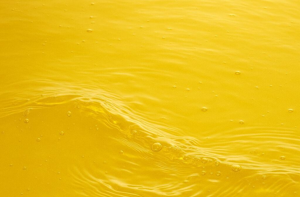 Why Canola Oil Deserves a Place in Every Kitchen