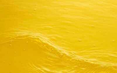 Why Canola Oil Deserves a Place in Every Kitchen